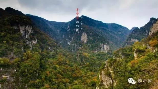 南昌西站到二附医院地铁票怎么买?——你的专属问答平台